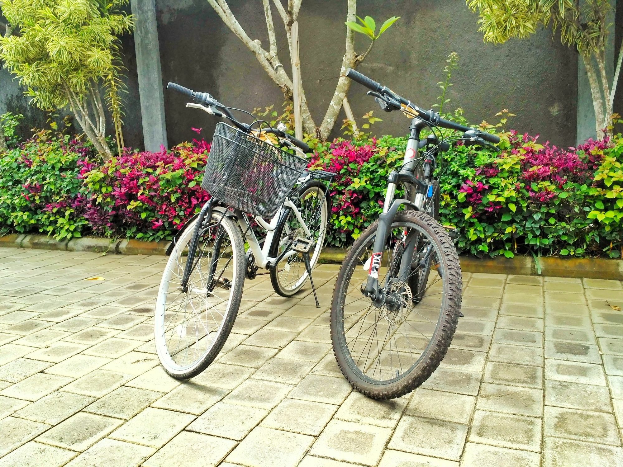 Amelle Villas & Residences Canggu מראה חיצוני תמונה