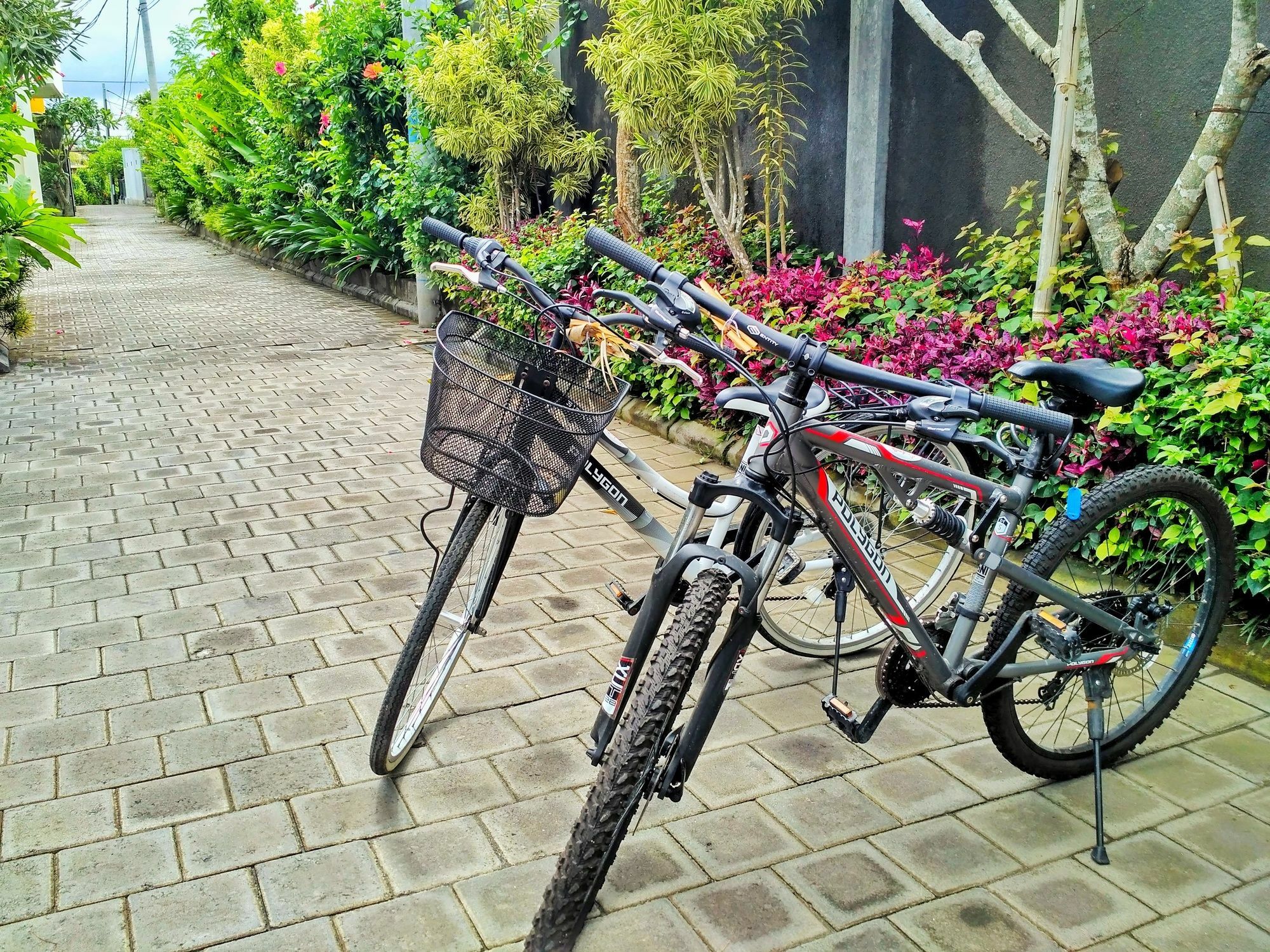 Amelle Villas & Residences Canggu מראה חיצוני תמונה