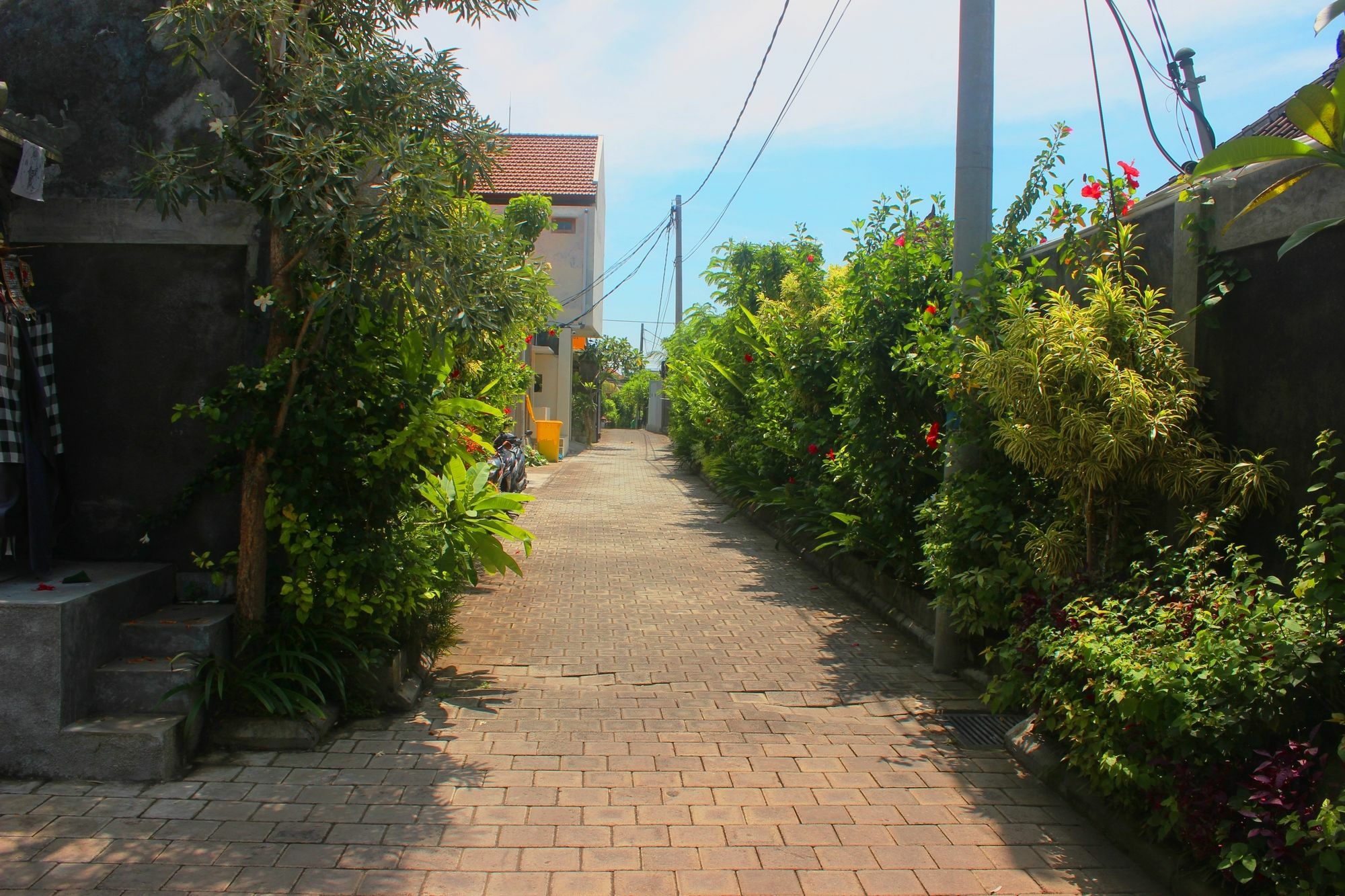Amelle Villas & Residences Canggu מראה חיצוני תמונה